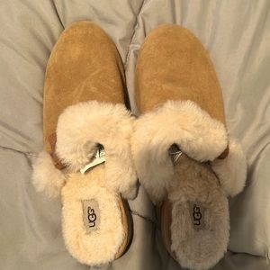 Ugg Slippers